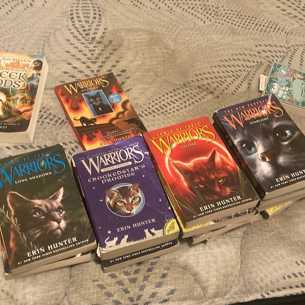 Warriors Book Collection with Colorful Covers.